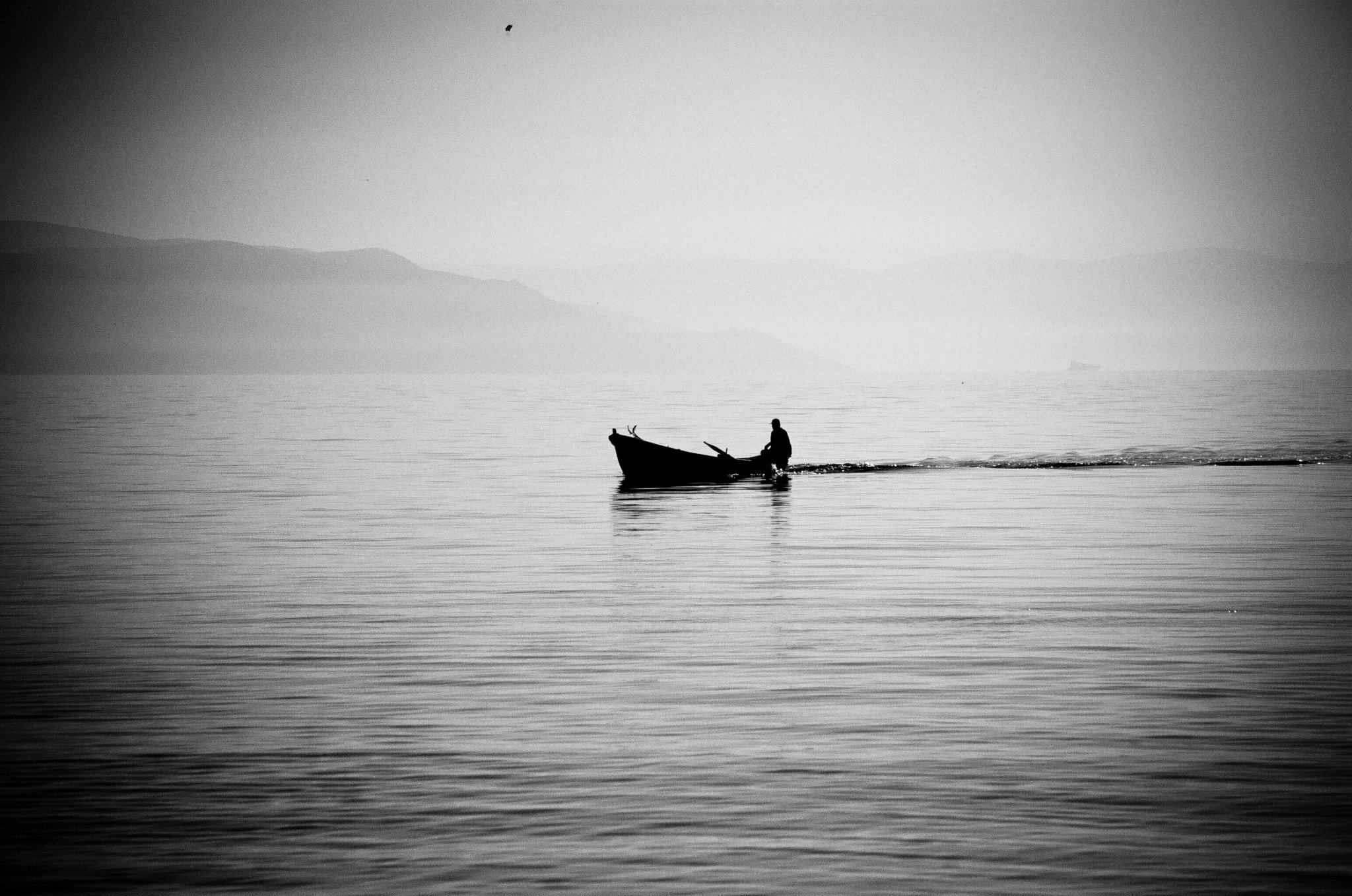 477687 10150807174378564 923120453 o