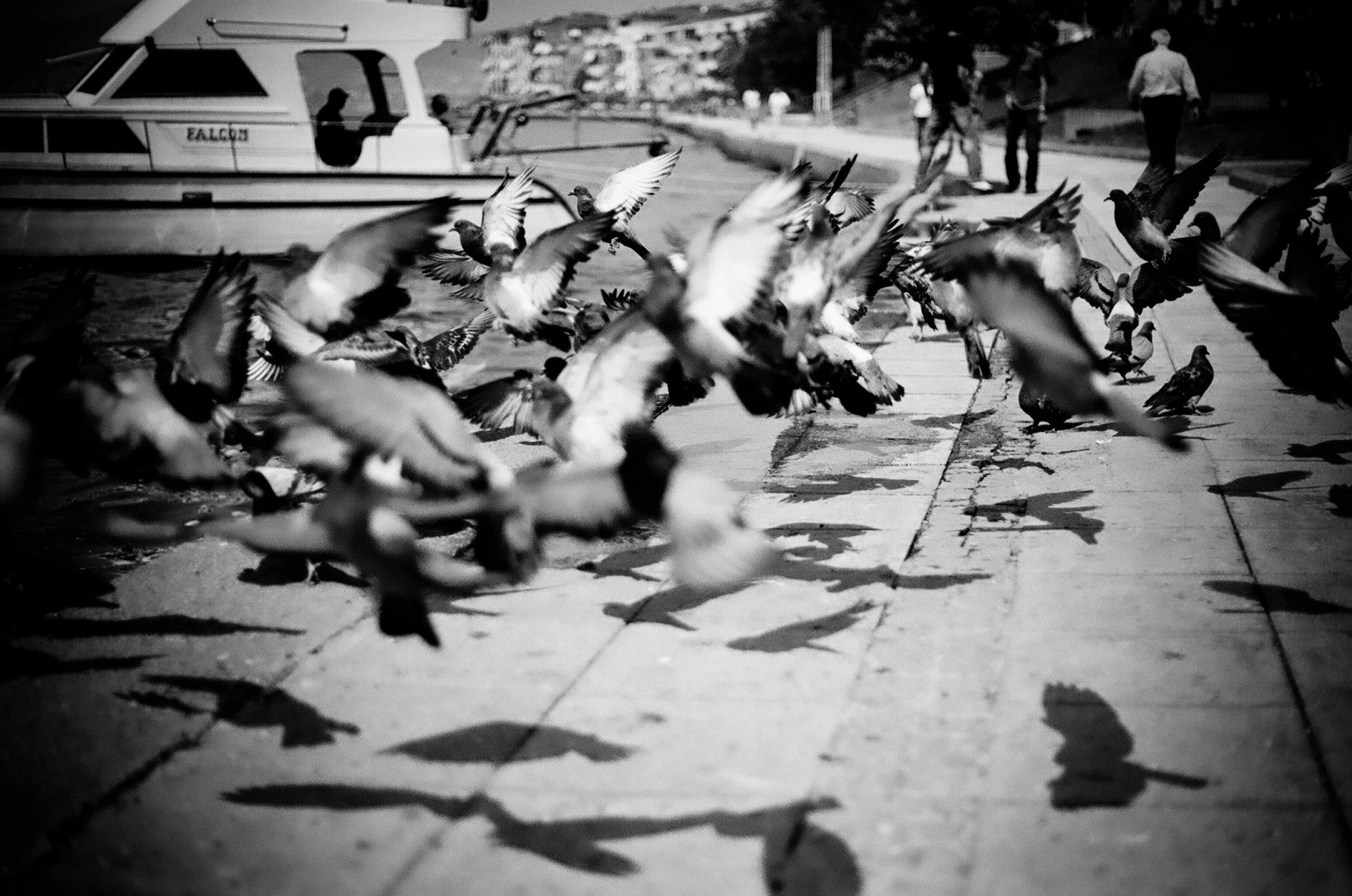 478688 10150807178913564 1488562858 o