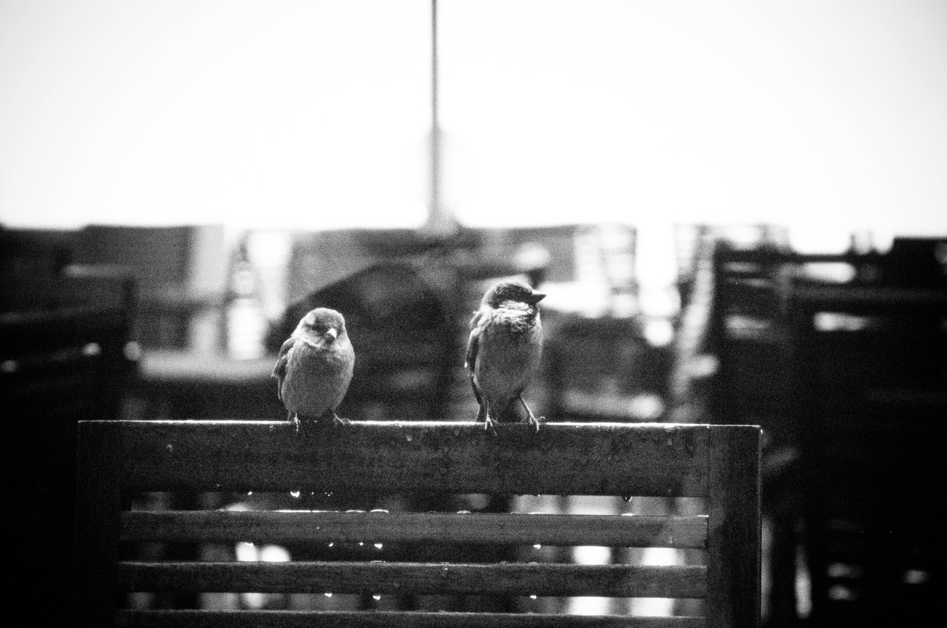 324715 10150494206628564 549758563 8968747 314436365 o