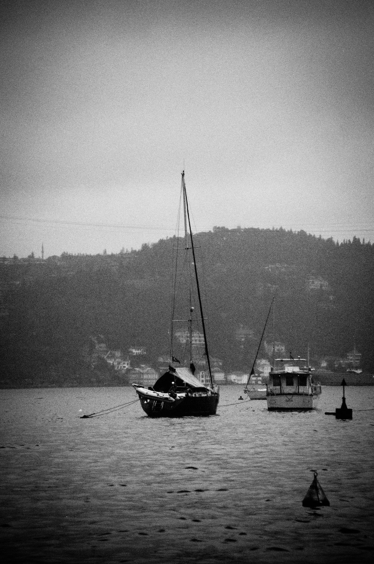 334029 10150494196968564 549758563 8968708 1781413301 o