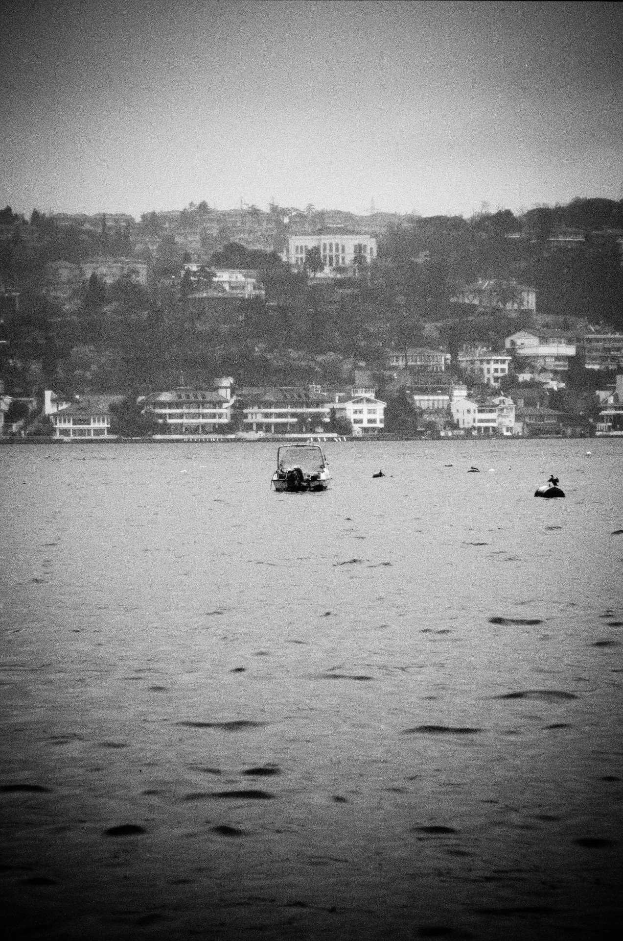 413075 10150494199933564 549758563 8968714 532967174 o