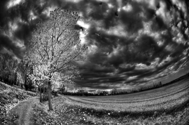 Facebook photo download 2361195048782061387