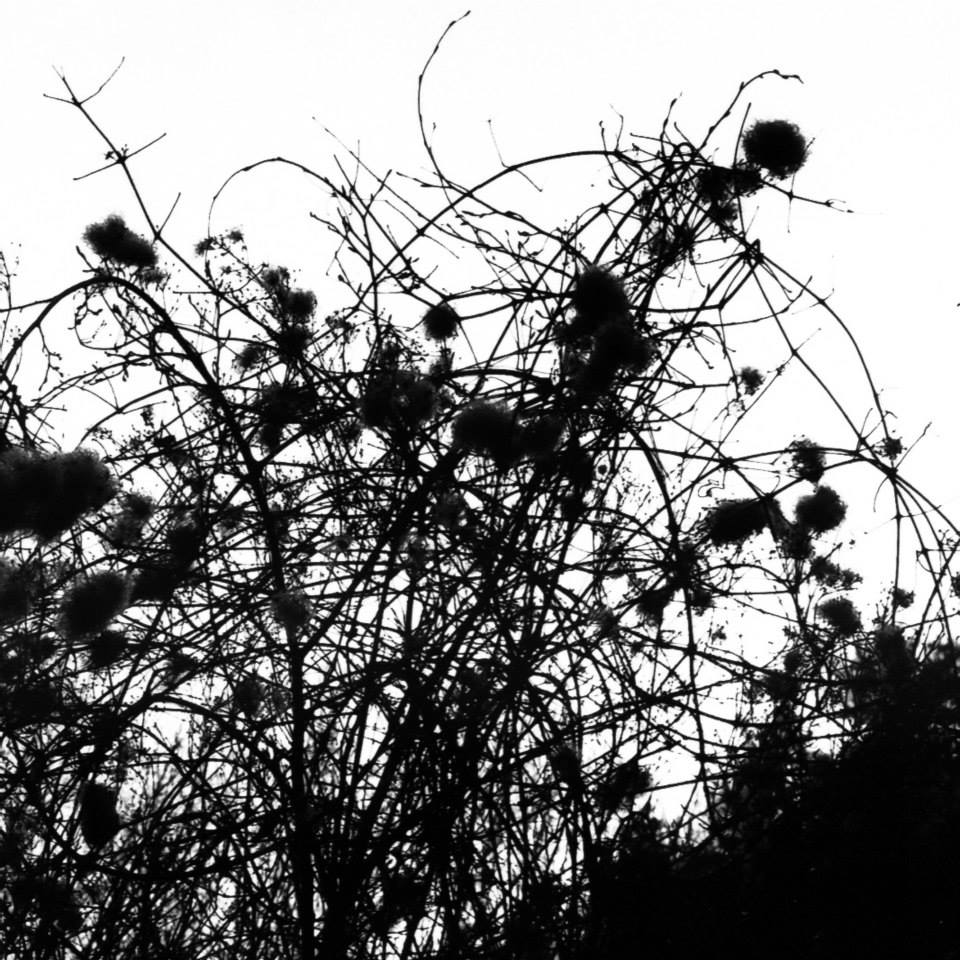 10534078 10152314022128564 8059059123001400388 n