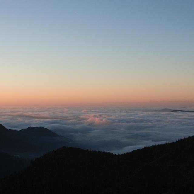 Facebook photo download 2361195048785107896