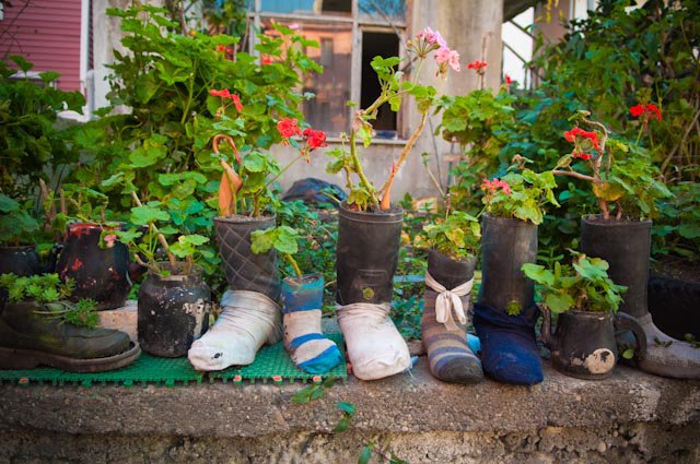 Facebook photo download 2361195048784786284