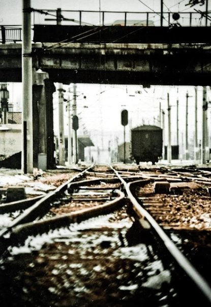 Facebook photo download 2361195048782461343